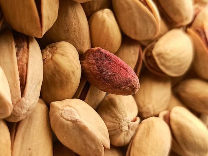 قیمت خرید پسته بادامی اعلا با فروش عمده